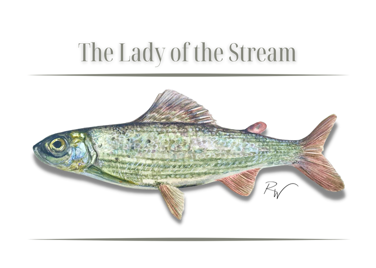 The Lady of the Stream