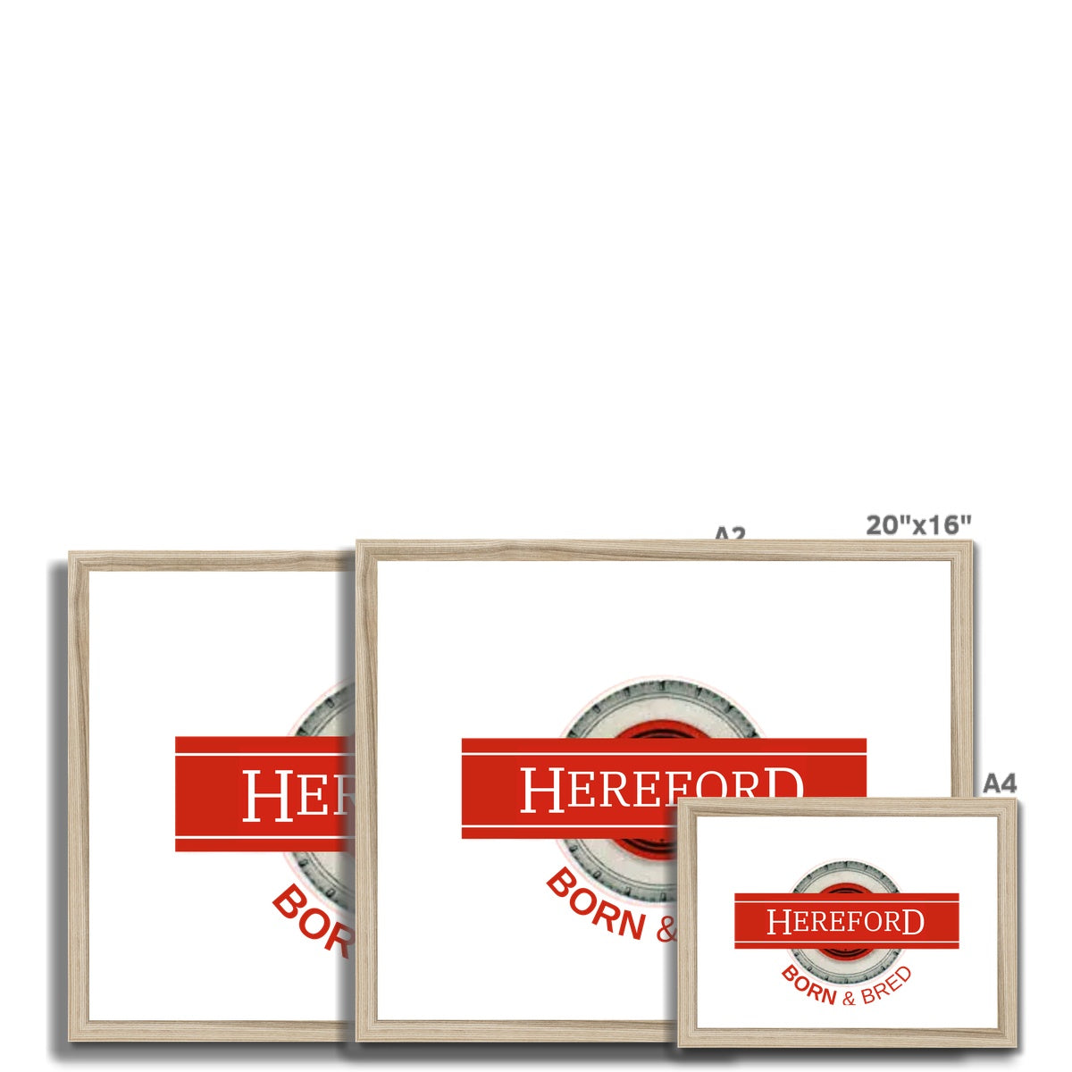 Hereford BORN & BRED Framed & Mounted Print - Born, Bred & Buttered
