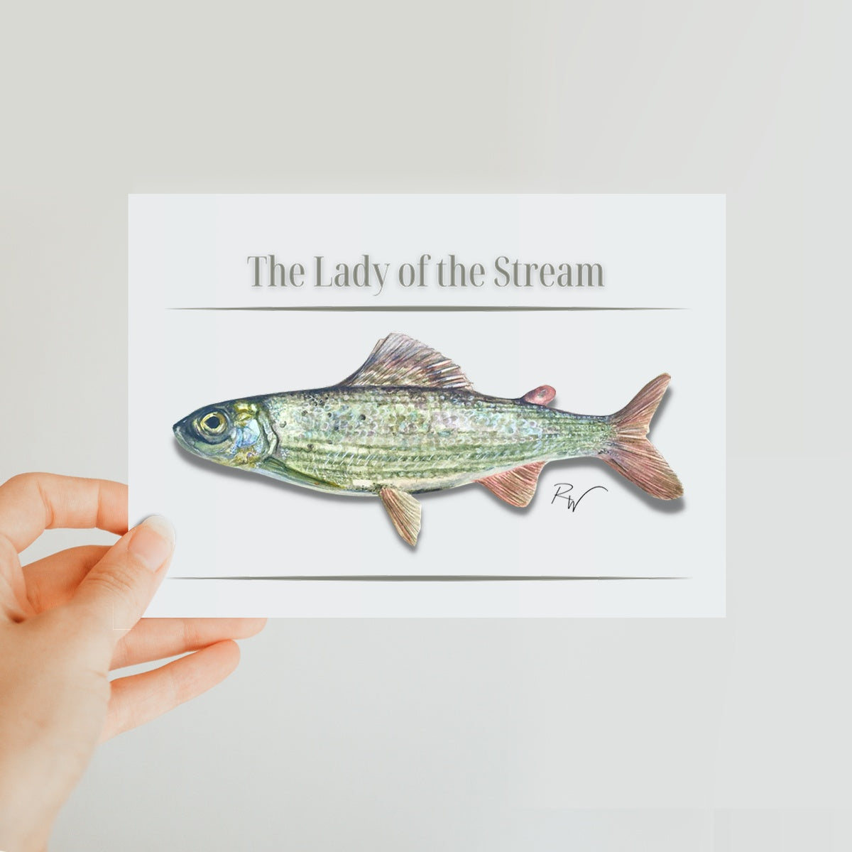 The Lady of the Stream Classic Postcard