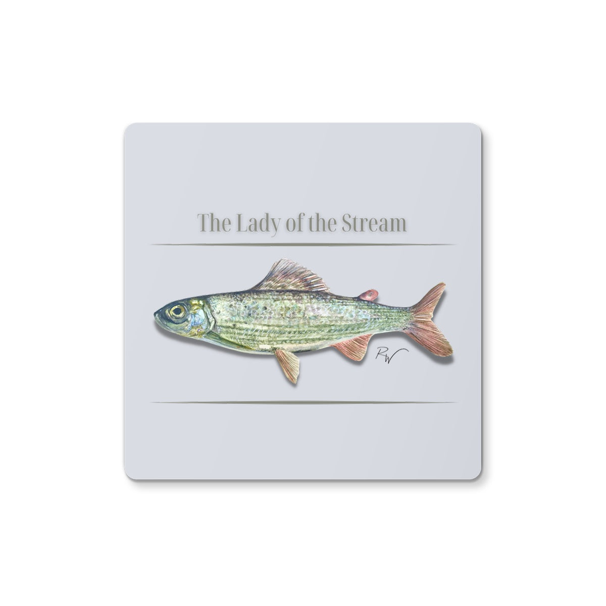 The Lady of the Stream Coaster