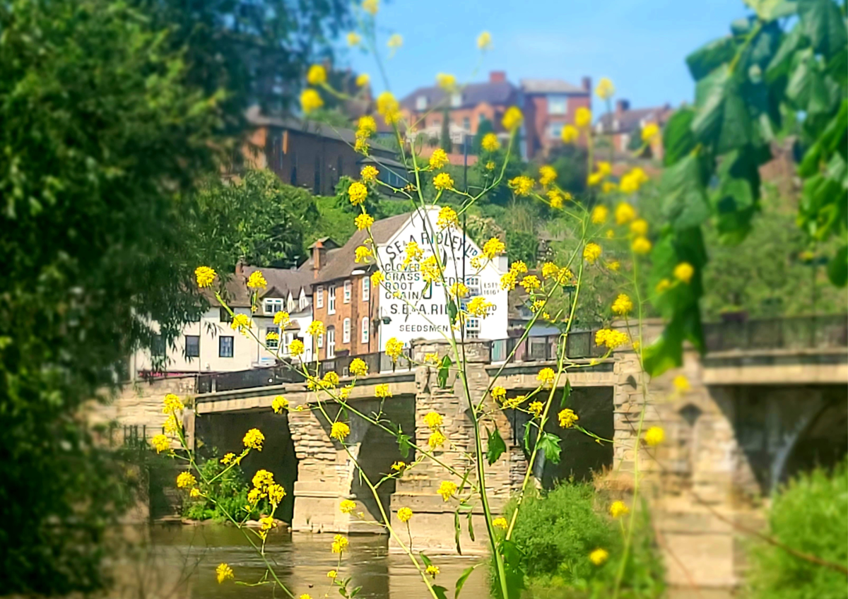 Bridgnorth from Severn Bridge