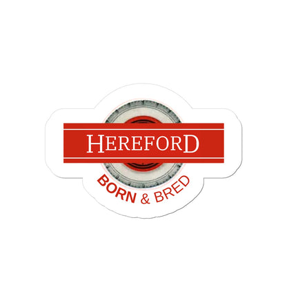 Hereford BORN & BRED Sticker